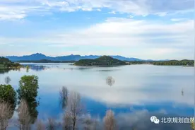想象空间巨大！通州区这几大片共990亩被留为战略用地图片