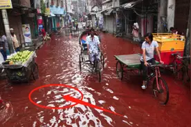 印度当年无故下起了59天的血雨，血色雨水真的是血构成的吗图片