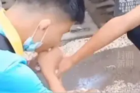 因不准带牛奶入校，学生无奈喝光11瓶牛奶，学校却说为安全考虑图片