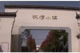 醉美枫景！3000棵红枫迎来观赏期，旅客们纷纷前来拍照打卡视频封面