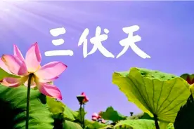 今日入伏，入伏当天下雨好不好？看看这些农村谚语就知道答案图片