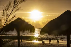 永不落幕的夏天，走进广西涠洲岛，很多游客都说这里太适合养老了图片