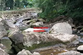 呐溪原乡这块原生态石头，形似“海狮”，喜欢吗？图片