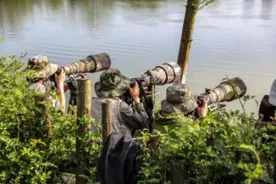 有哪些超大变焦的镜头值得买？图片