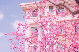 心理学：你爱上的人，其实是你的“影子”图片