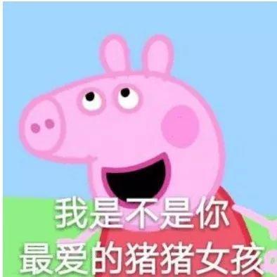 乔治和佩奇有何含义（同样都是猪）