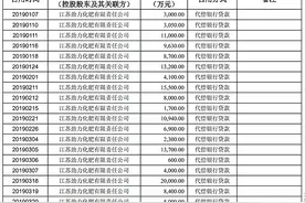 大股东提款机？南京上市公司红太阳为何看起来糟糕透了图片
