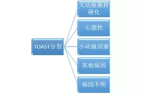 发泡试验——从脑到心图片