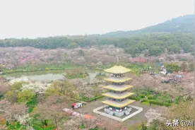 湖北春季“十大赏花游”线路正式发布图片