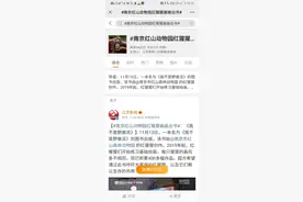 “红猩猩画画出书”冲上热搜！没错！这些画都是猩猩画的图片