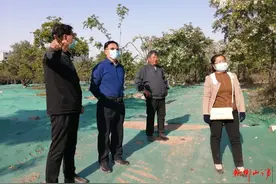 邯山区政协副主席程浩到梨园对绿化提升、扬尘治理进行督导推进，并对节点打造、绿化品种摆布等进行指导图片