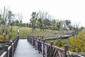 其实，宜宾这片低调的区域，已经很宜居了...图片