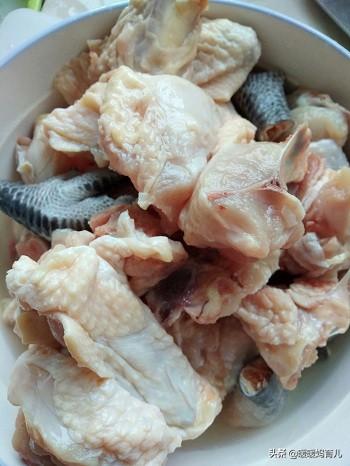小孩可以吃花胶炖鸡吗 小孩可以吃花胶炖鸡吗早餐