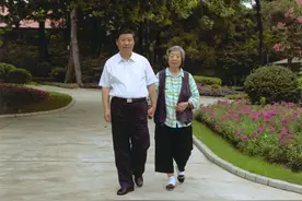 报得三春晖图片