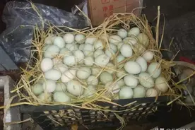 岳阳市民请注意，这女子的“十块钱九个咸鸭蛋”有问题图片