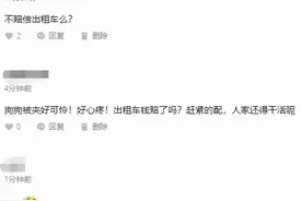 监控视频公开！卡进出租车保险杠的宠物犬主人面临这项处罚图片