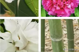 河南洛宁：关于成立临时党组织的那些事儿图片