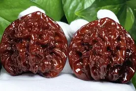 赶紧把你的机刷核桃扔了吧图片