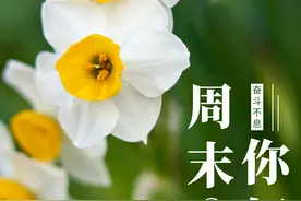外阴白斑/私处瘙痒久治不愈？分享黑龙江中医药韩延华教授经验图片