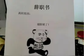00后辞职信“劳资不干了”走红，离职理由太任性，网友：惹不起图片