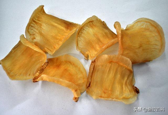 花胶泡好后放冰箱里 2026年花胶泡好后放冰箱里能放多久