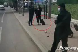 尾随、黏人、抱大腿，“大圣”请你矜持点图片