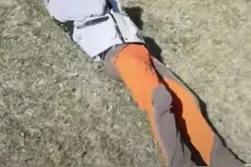 央视主持人聚会！撒贝宁草地打滚太搞笑，身旁的朱迅还偷偷踹一脚图片