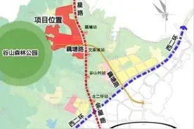 无地铁无商业！河西这里的限价竟然向梅溪湖/滨江看齐图片