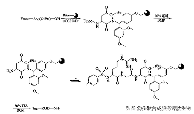 多肽固相合成技术