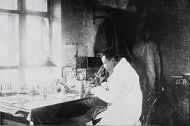 夺走六万人生命的那场鼠疫，是怎样结束的？图片