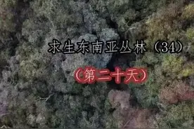 美女全裸挑战原始森林生存100天第 20天图片