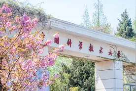中科大、华中科大综合排名均在前十，分数线却相差巨大，这是为何图片