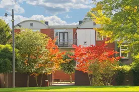 俗语：“一怕门前种三树，二怕夜猫上房，三怕坟后土堆”，为啥？图片