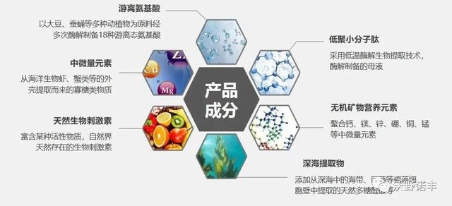 国家重点研发计划产业化「2021国内酶解氨基酸叶面肥的新旗舰」