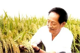 初中生不认识袁隆平？解析“禾下乘凉梦，一稻一人生”背后的人生图片