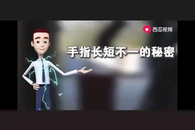 为什么我们的手指会长短不一？图片