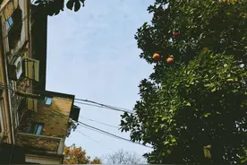当代父女关系：我和父亲之间的二三事图片