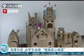 变废为宝！大学生自建“猫猫爱心城堡”让流浪猫住上温暖的“家”图片