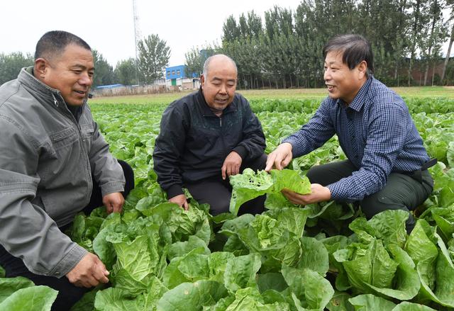 鍐滄皯绉嶇櫧鑿滐紝鍠烽唻娑茶兘澧炰骇锛熶綘杩樺埆涓嶄俊锛屼娇鐢ㄦ柟娉曟暀浼氬ぇ瀹? onerror=