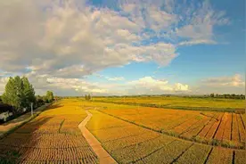 张晓山：深化农村集体产权制度改革需研究的几个深层次理论问题图片