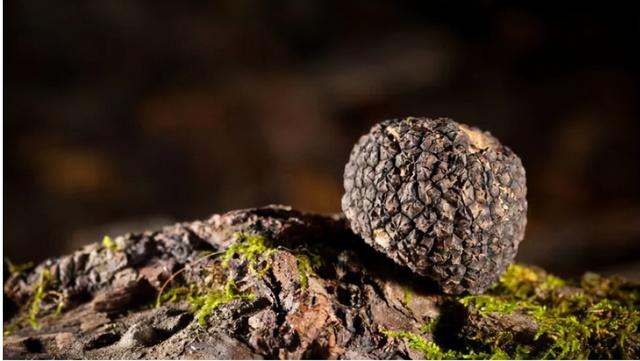 瀛ｆ硥鏂板搧榛戞澗闇插鑲芥姉鐨辩郴鍒楄兘鏈夊鎯婅壋锛? onerror=