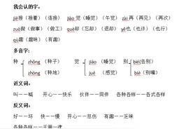 小学一年级语文（下）第二单元3-4课基础知识及课后小练图片