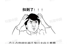 头皮上长得"小疙瘩"到底是啥？该如何预防？答案全在这…图片