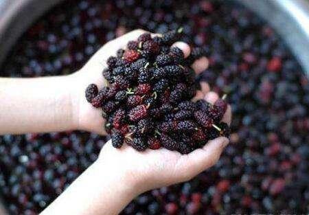 十种食疗，改善你的睡眠质量。