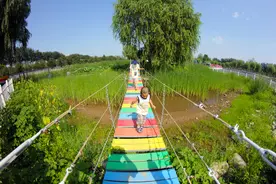 属于夏天的紫色花海，来北京这个公园打卡，停车免费能玩一整天图片