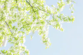 有时候，男人想和你发生亲密的关系，并不是因为爱你图片