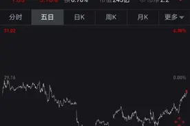 锦江酒店再“卖子”半年已转让11家子公司图片