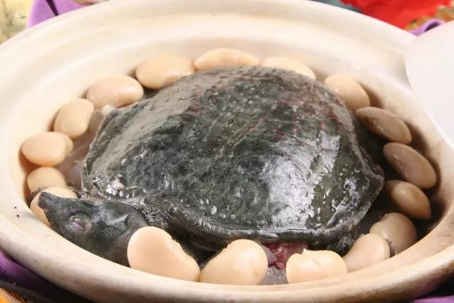 佘自强花胶滋润汤 2026年佘自强潮式养生靓汤 佘自强花胶滋润汤 2026年佘自强潮式养生靓汤