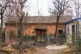 50多岁的人在农村，有空置的房子和场地，养殖什么比较好？图片