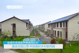 江苏《午间看点》：盐城市滨海县周庄村——水韵江苏，美好乡村图片